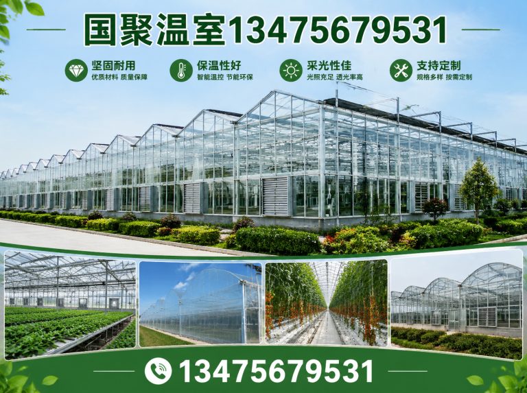 诸城市温室设计施工展示图