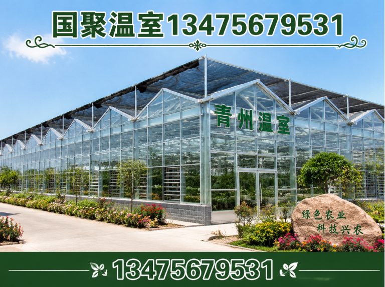 诸城市国聚温室展示图